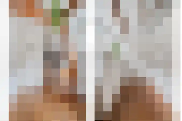 Staringstraat 21 Oss thumbnail 9