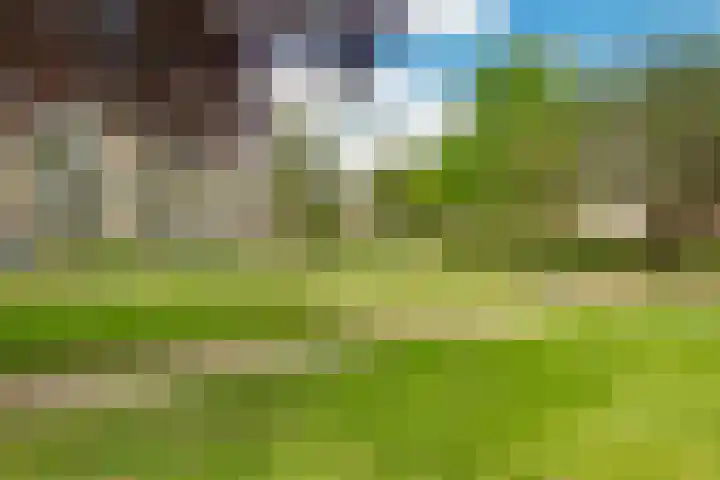 Staringstraat 224 Hengelo thumbnail 7