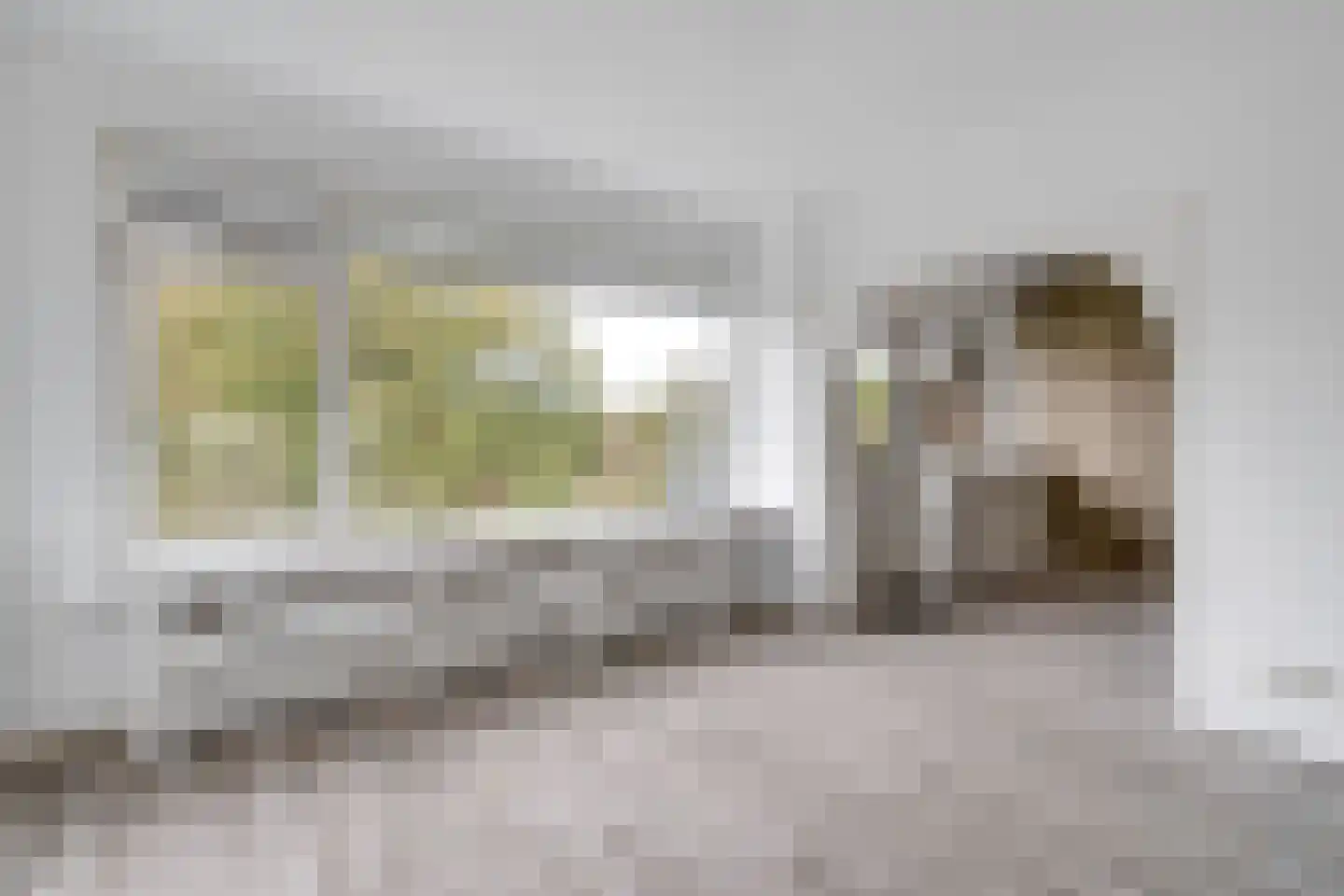 Staringstraat 230 Hengelo thumbnail 13