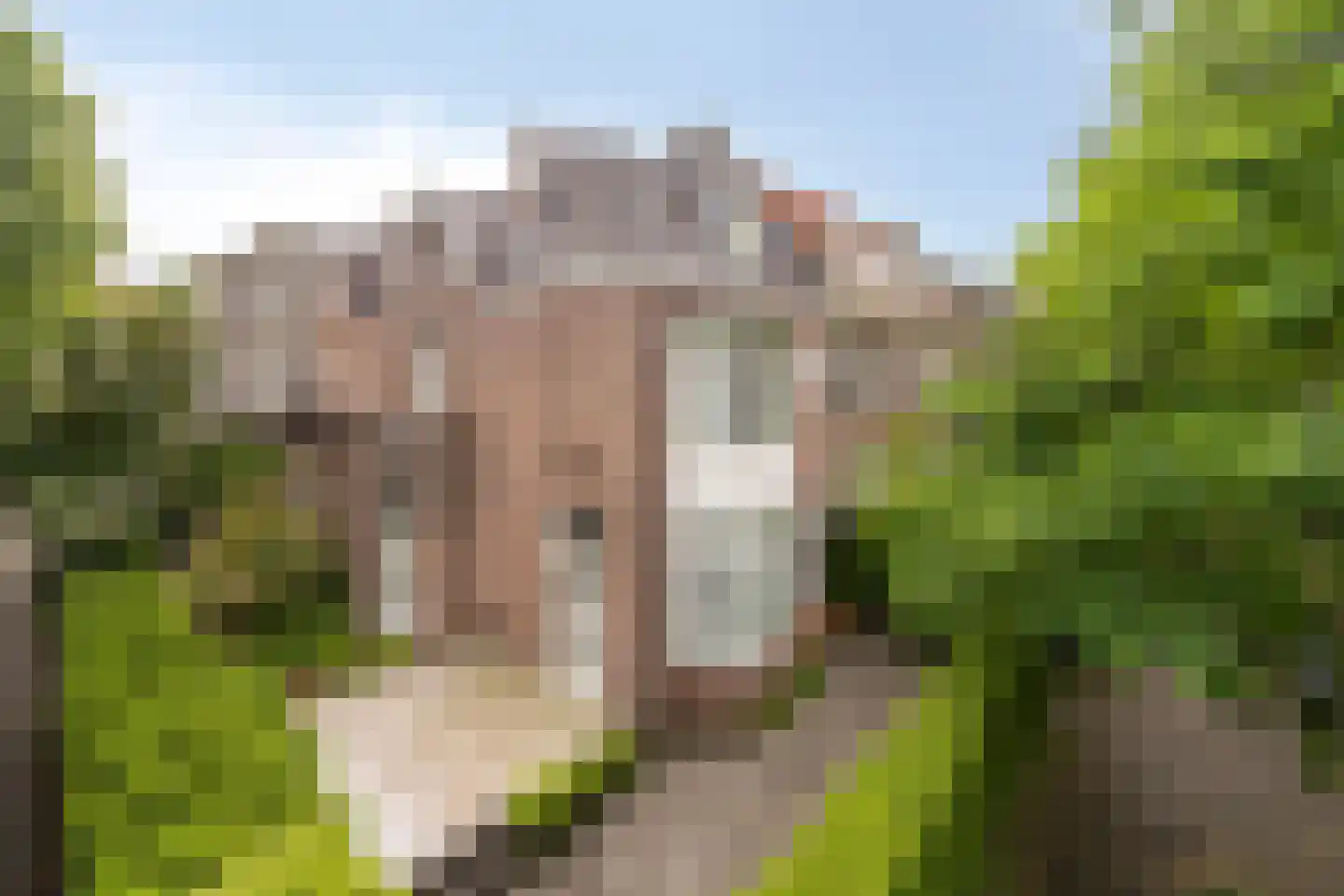 Staringstraat 25 Nijmegen thumbnail 5