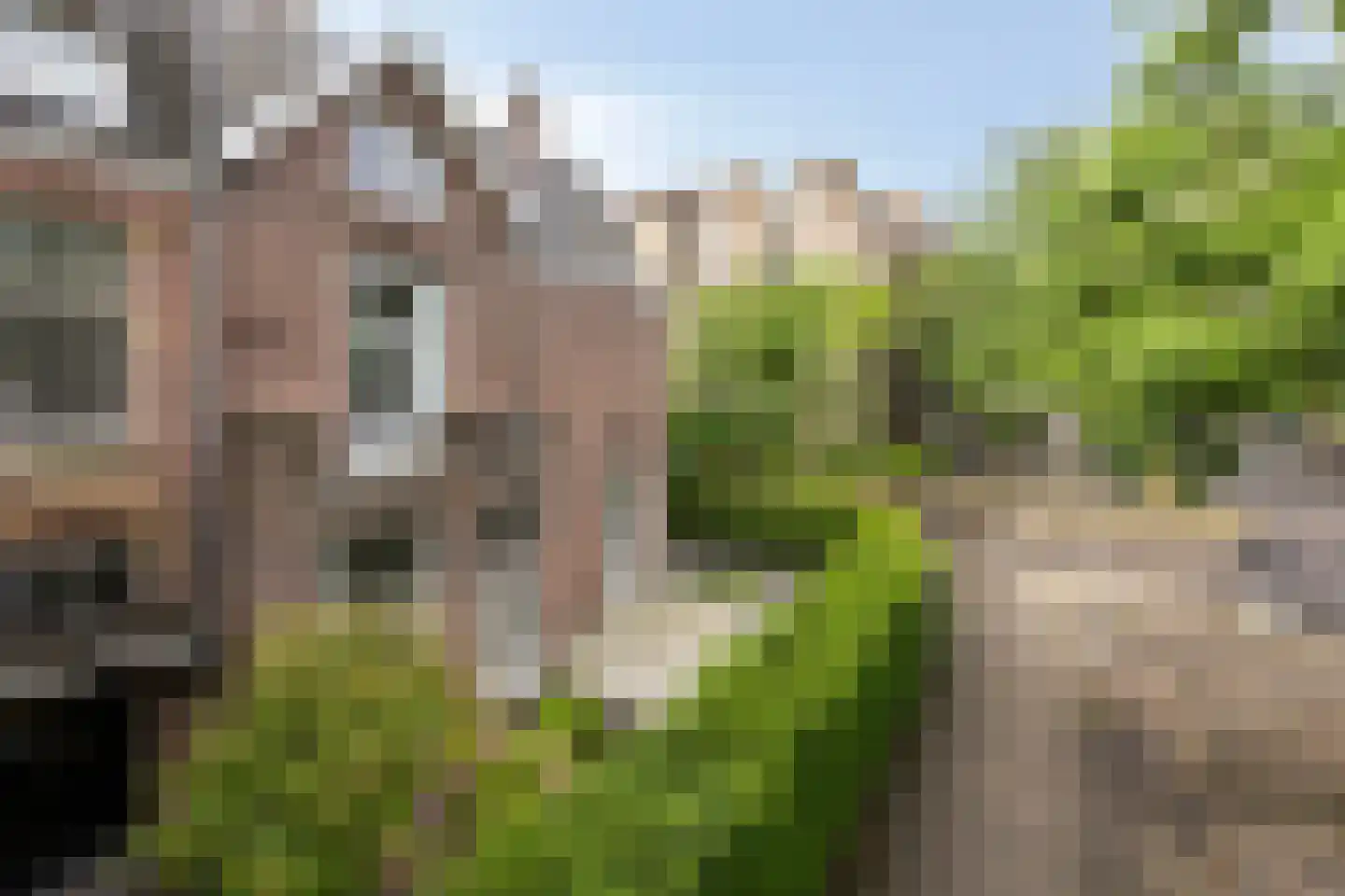 Staringstraat 25 Nijmegen thumbnail 6