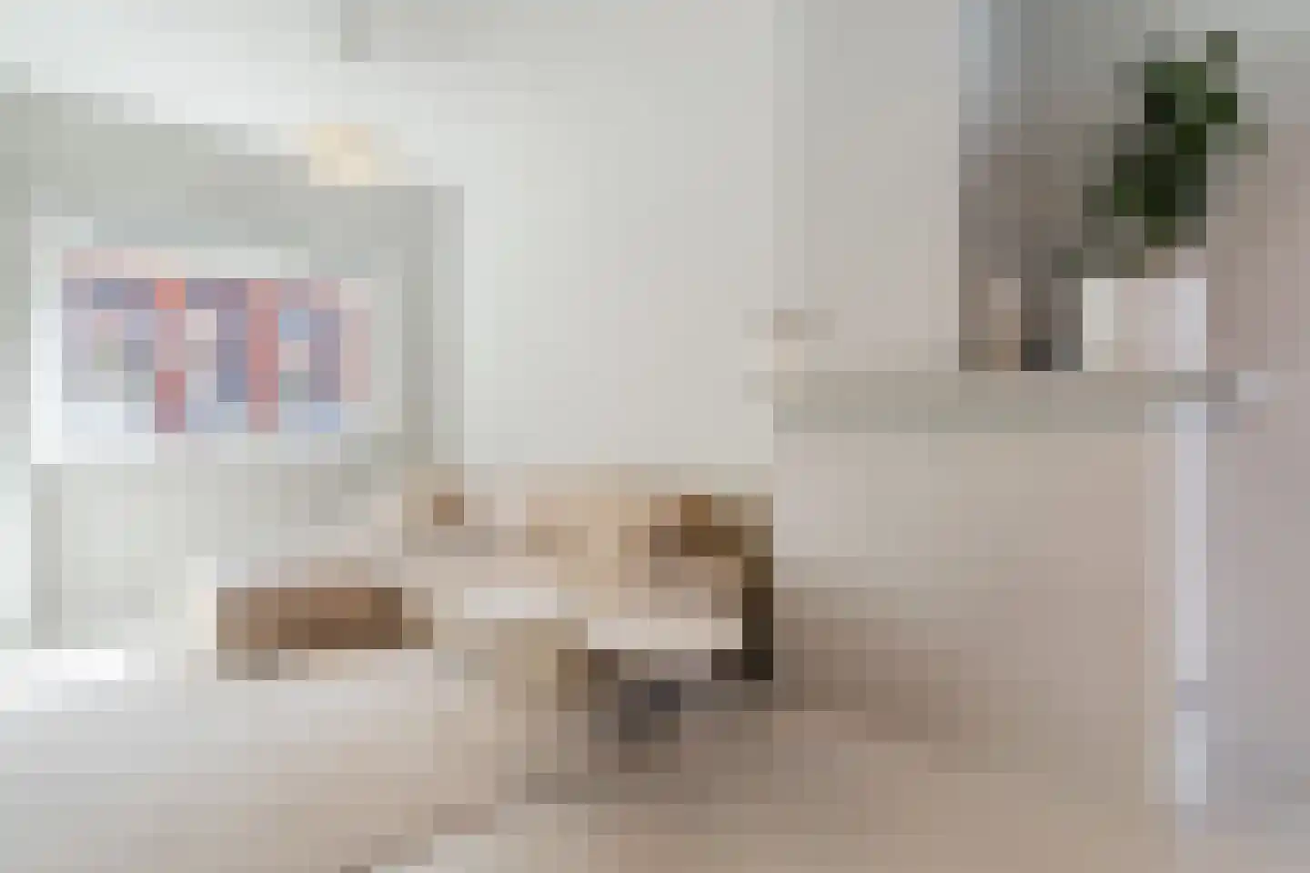 Staringstraat 25 Tilburg thumbnail 11