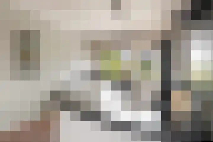 Staringstraat 266 Hengelo thumbnail 22