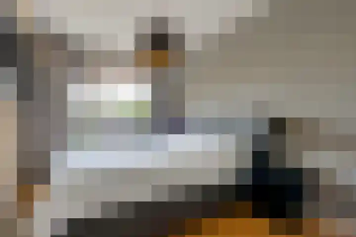 Staringstraat 266 Hengelo thumbnail 27