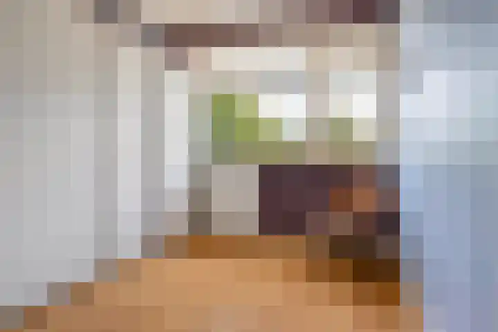 Staringstraat 266 Hengelo thumbnail 32