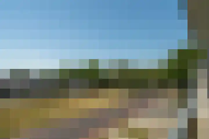 Staringstraat 266 Hengelo thumbnail 34