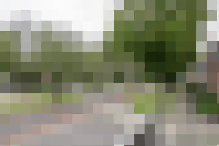 Staringstraat 274 Hengelo thumbnail 19