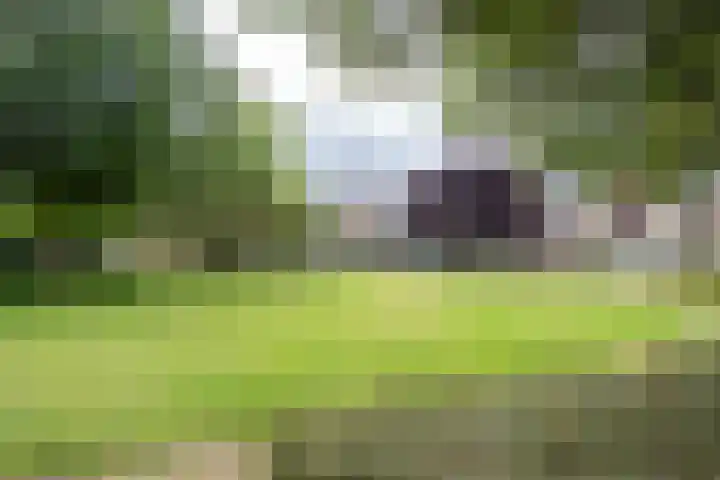 Staringstraat 274 Hengelo thumbnail 29