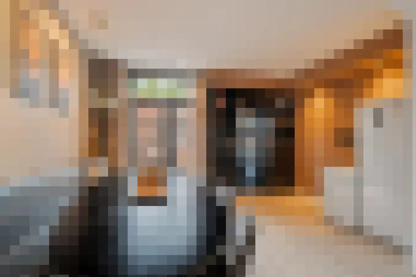 Staringstraat 28 Gouda thumbnail 9