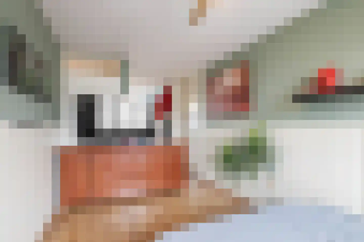 Staringstraat 284 Oss thumbnail 16