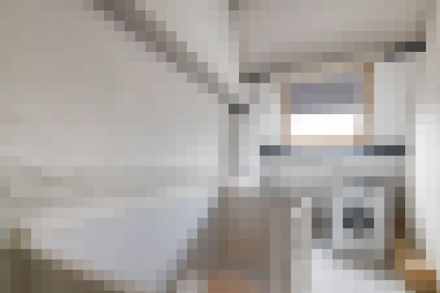 Staringstraat 284 Oss thumbnail 22