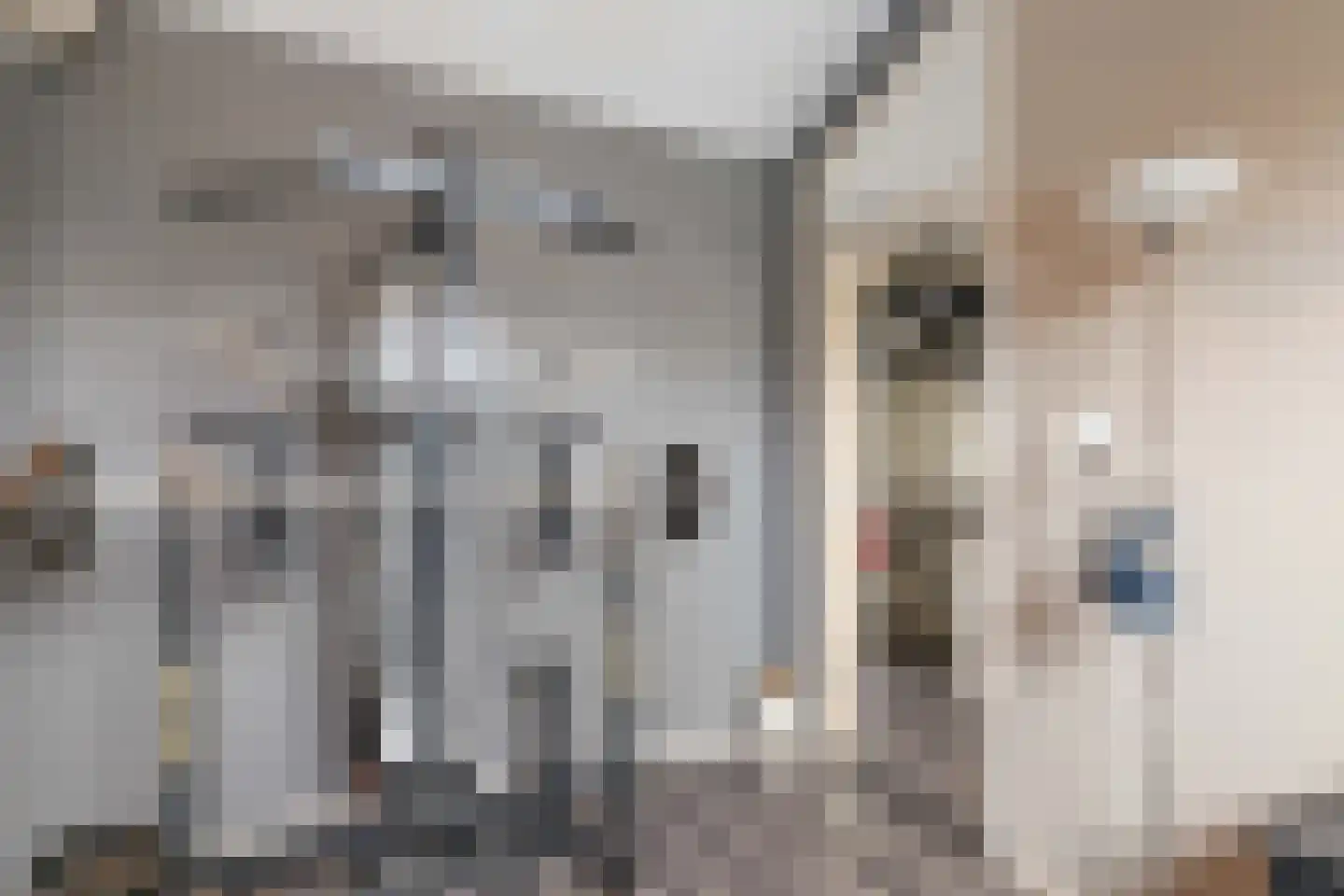 Staringstraat 284 Oss thumbnail 25