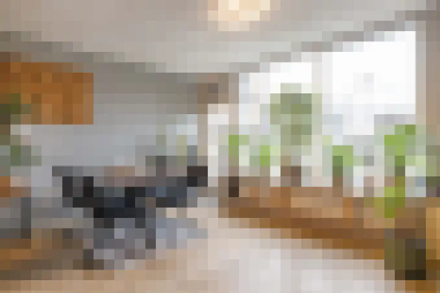 Staringstraat 284 Oss thumbnail 5