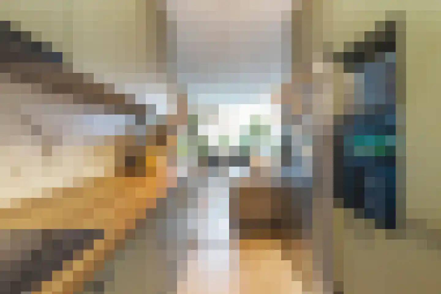 Staringstraat 284 Oss thumbnail 8