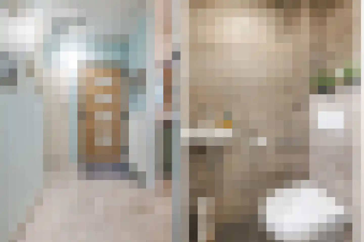 Staringstraat 284 Oss thumbnail 9