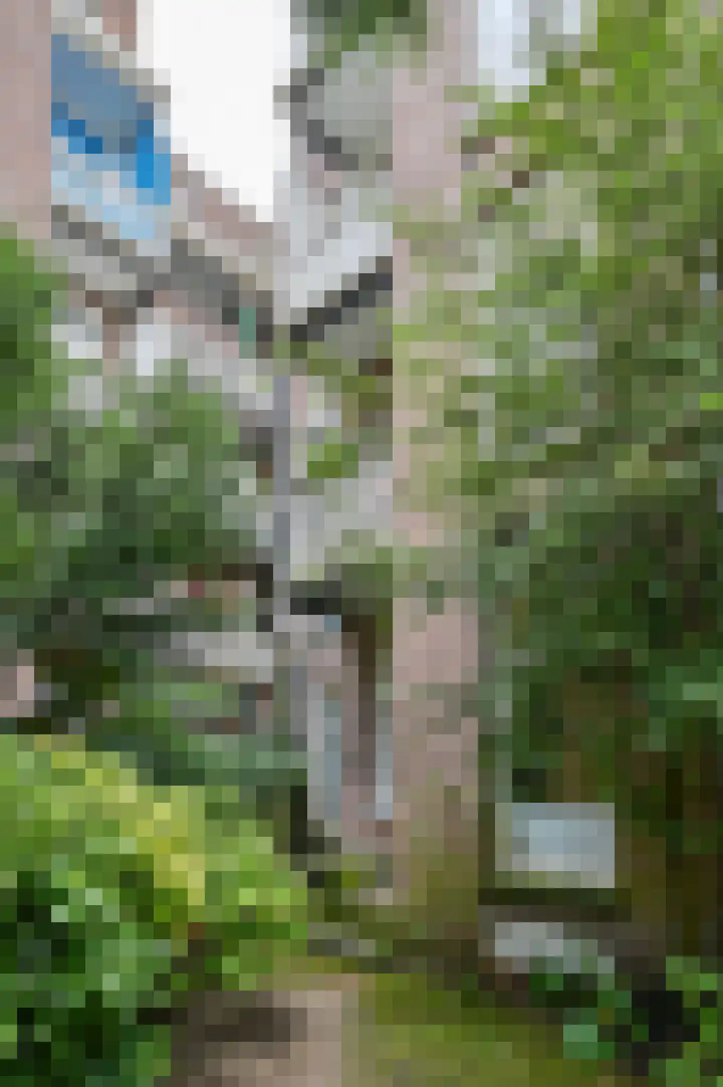 Staringstraat 29 Amsterdam thumbnail 20