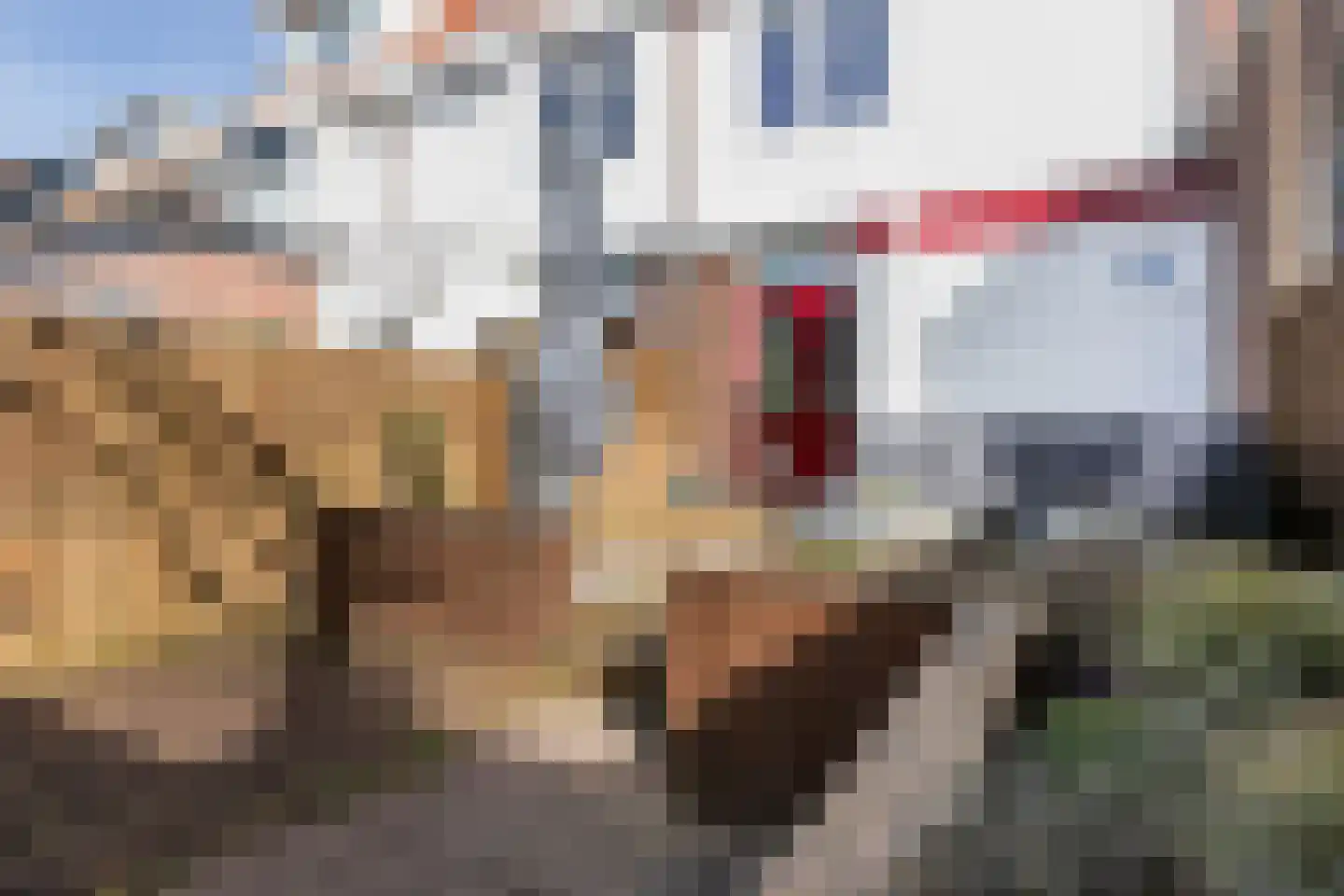 Staringstraat 3 Gouda thumbnail 45