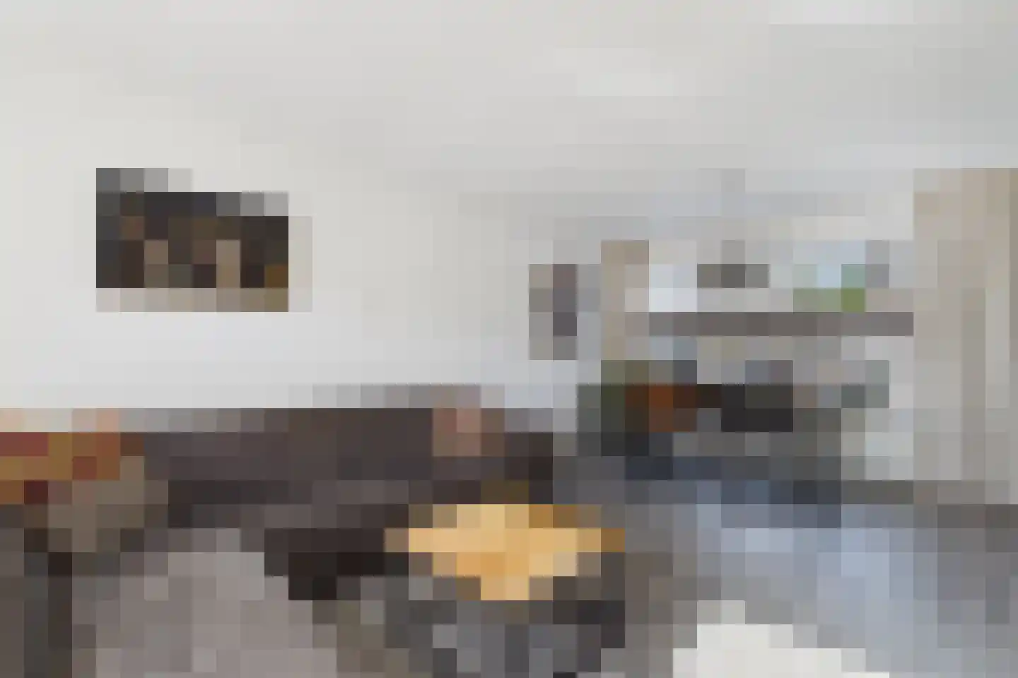 Staringstraat 3 Terneuzen thumbnail 10