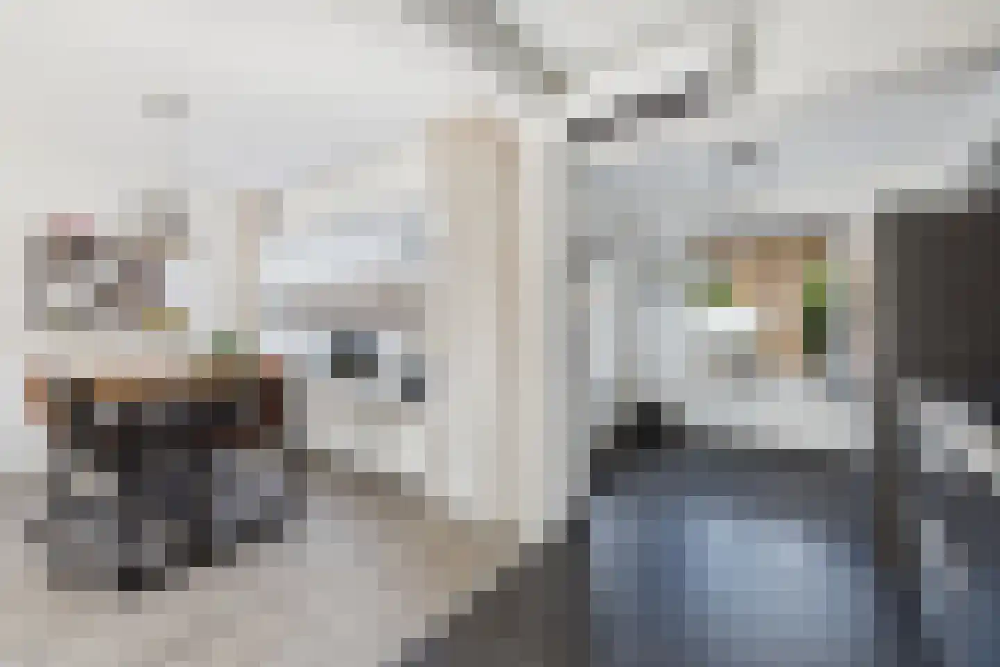 Staringstraat 3 Terneuzen thumbnail 12