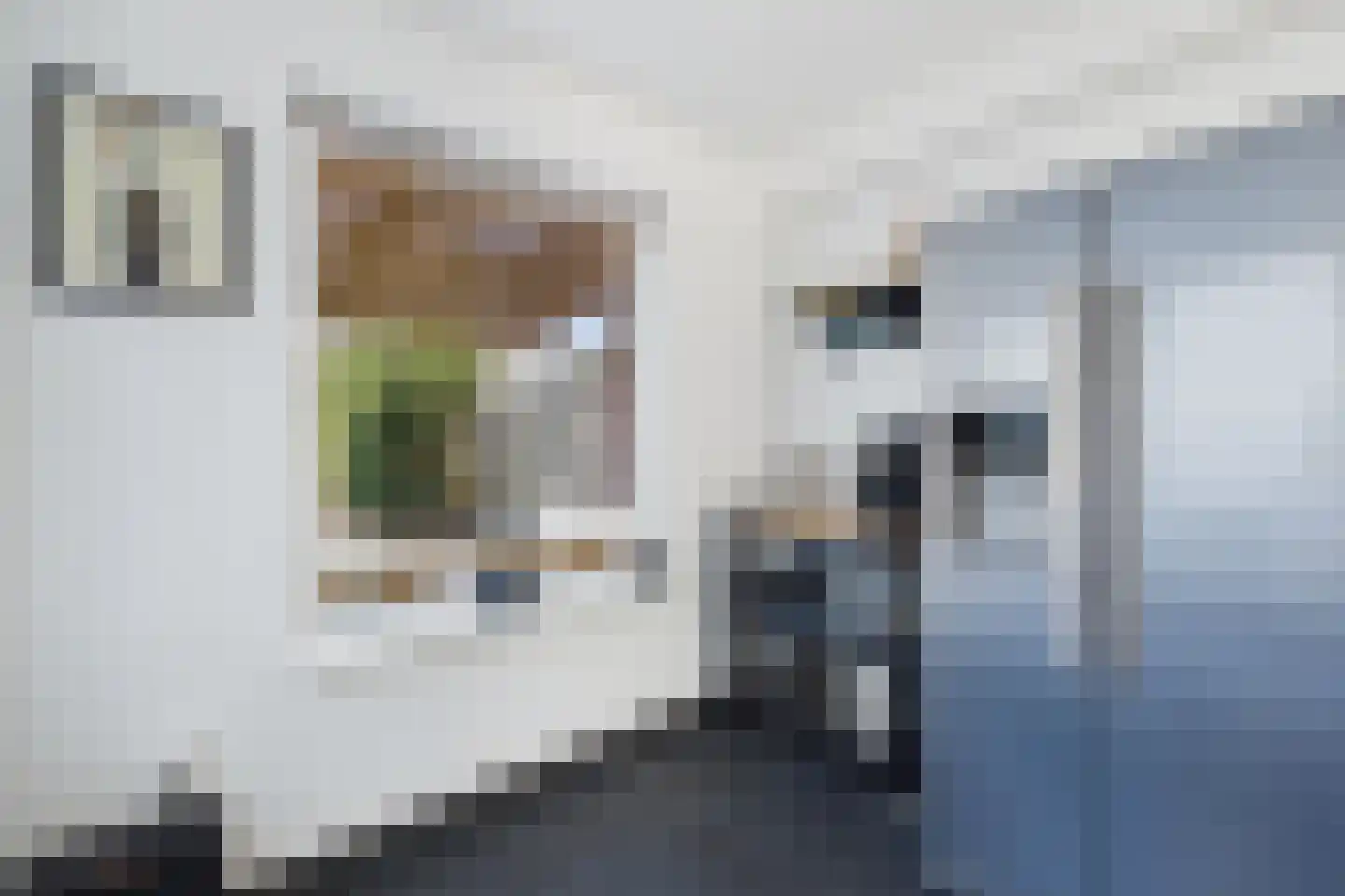 Staringstraat 3 Terneuzen thumbnail 15
