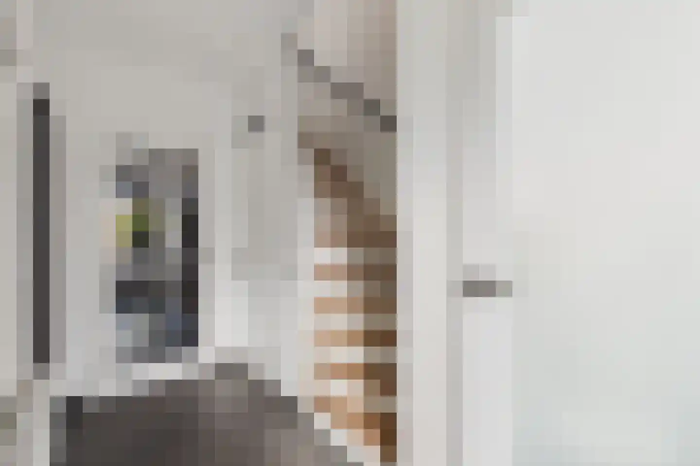 Staringstraat 3 Terneuzen thumbnail 17