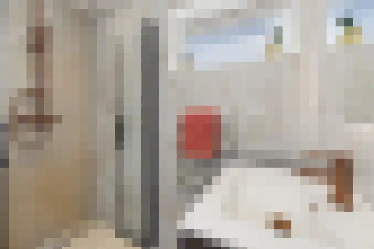 Staringstraat 3 Terneuzen thumbnail 25