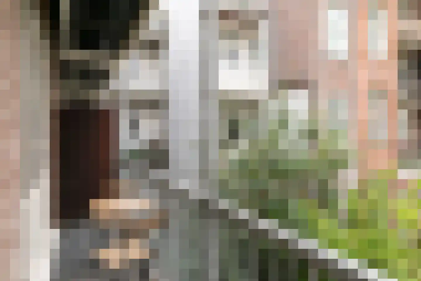 Staringstraat 30 1 Amsterdam thumbnail 15