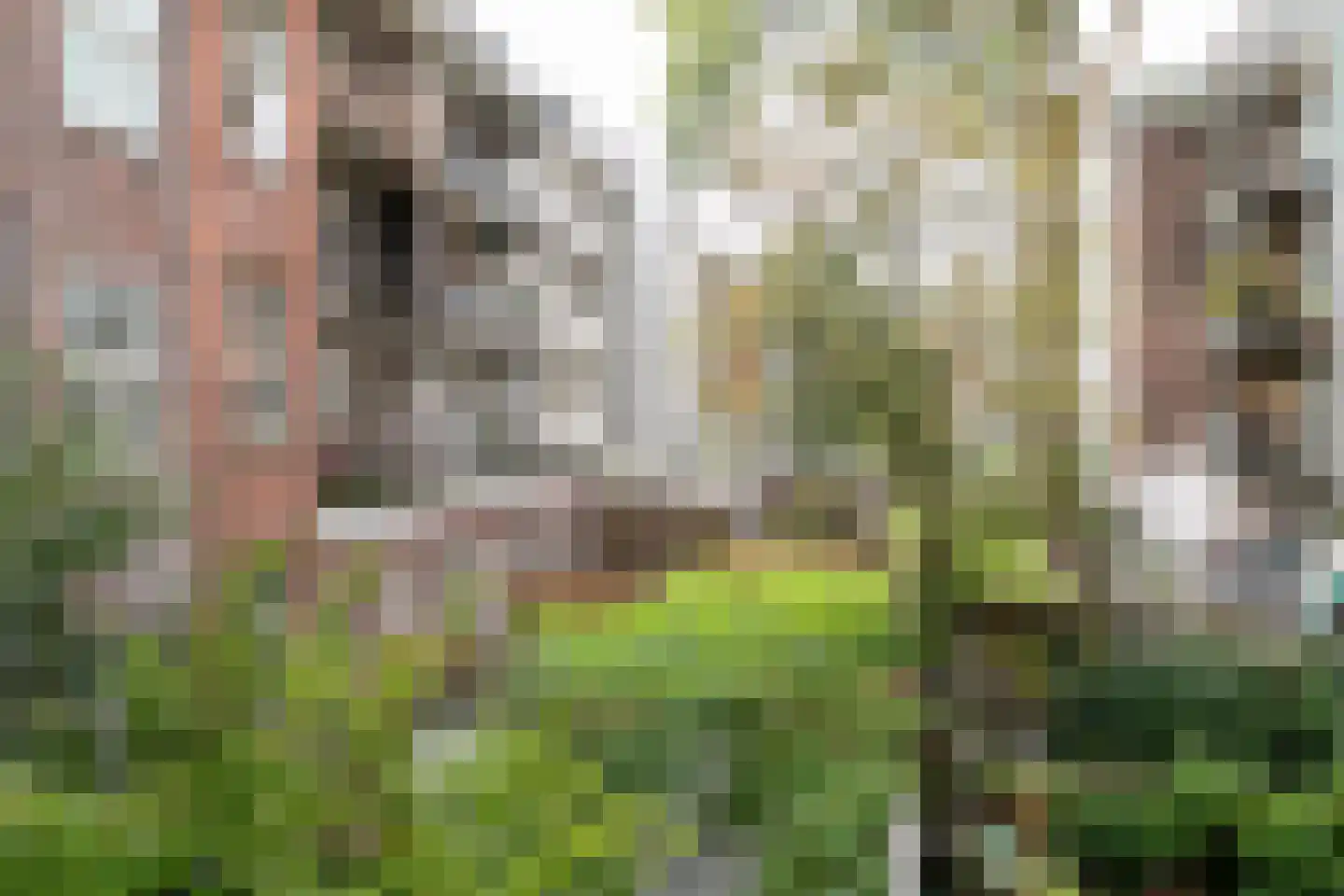 Staringstraat 30 1 Amsterdam thumbnail 16