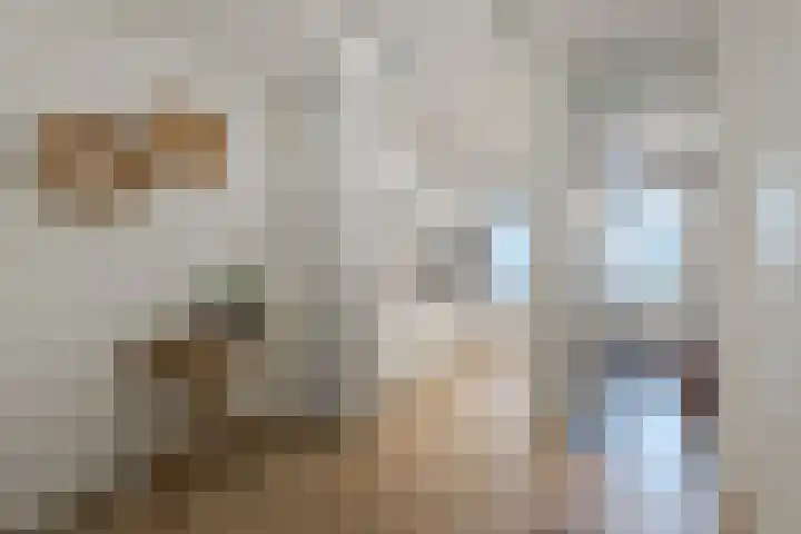 Staringstraat 32 1 Amsterdam thumbnail 13
