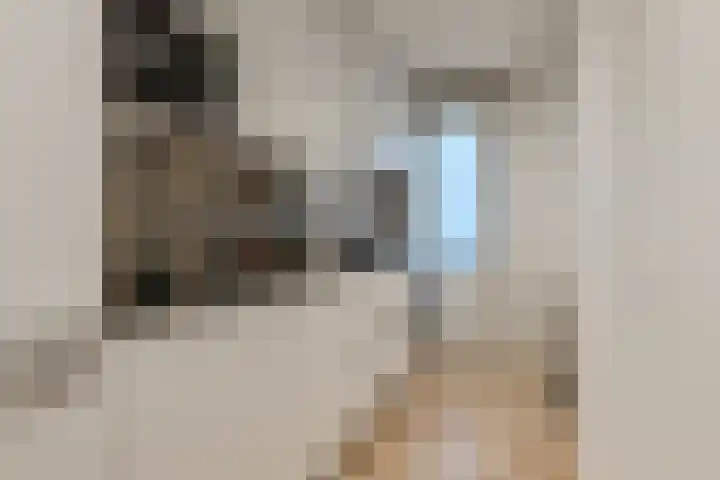 Staringstraat 32 1 Amsterdam thumbnail 14