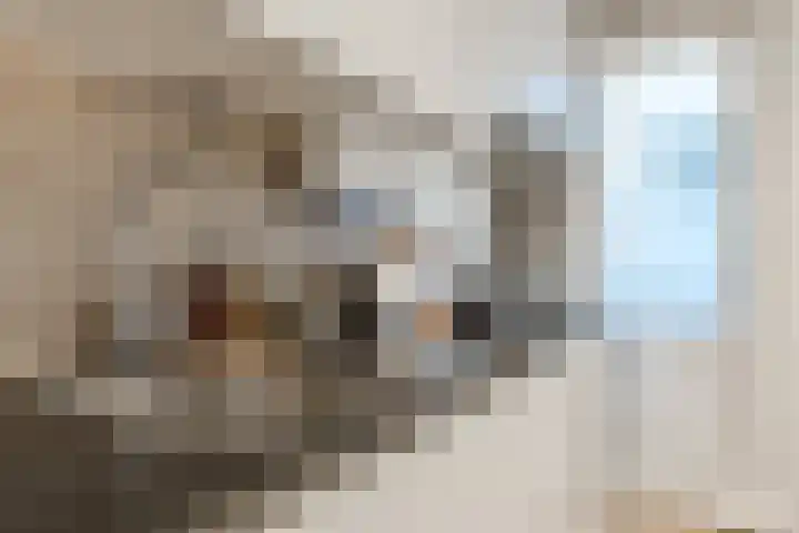 Staringstraat 32 1 Amsterdam thumbnail 15