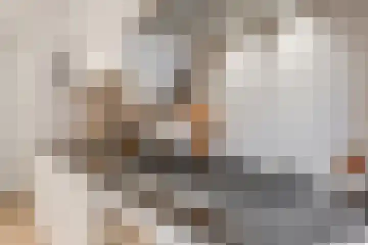 Staringstraat 32 1 Amsterdam thumbnail 17