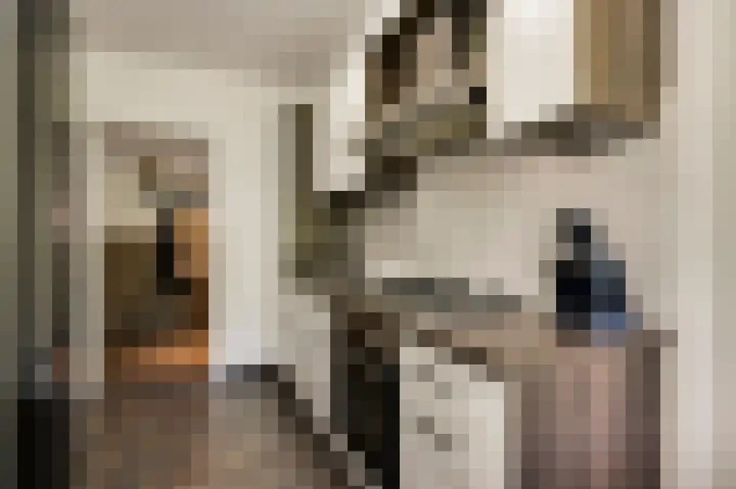 Staringstraat 33 Venlo thumbnail 18