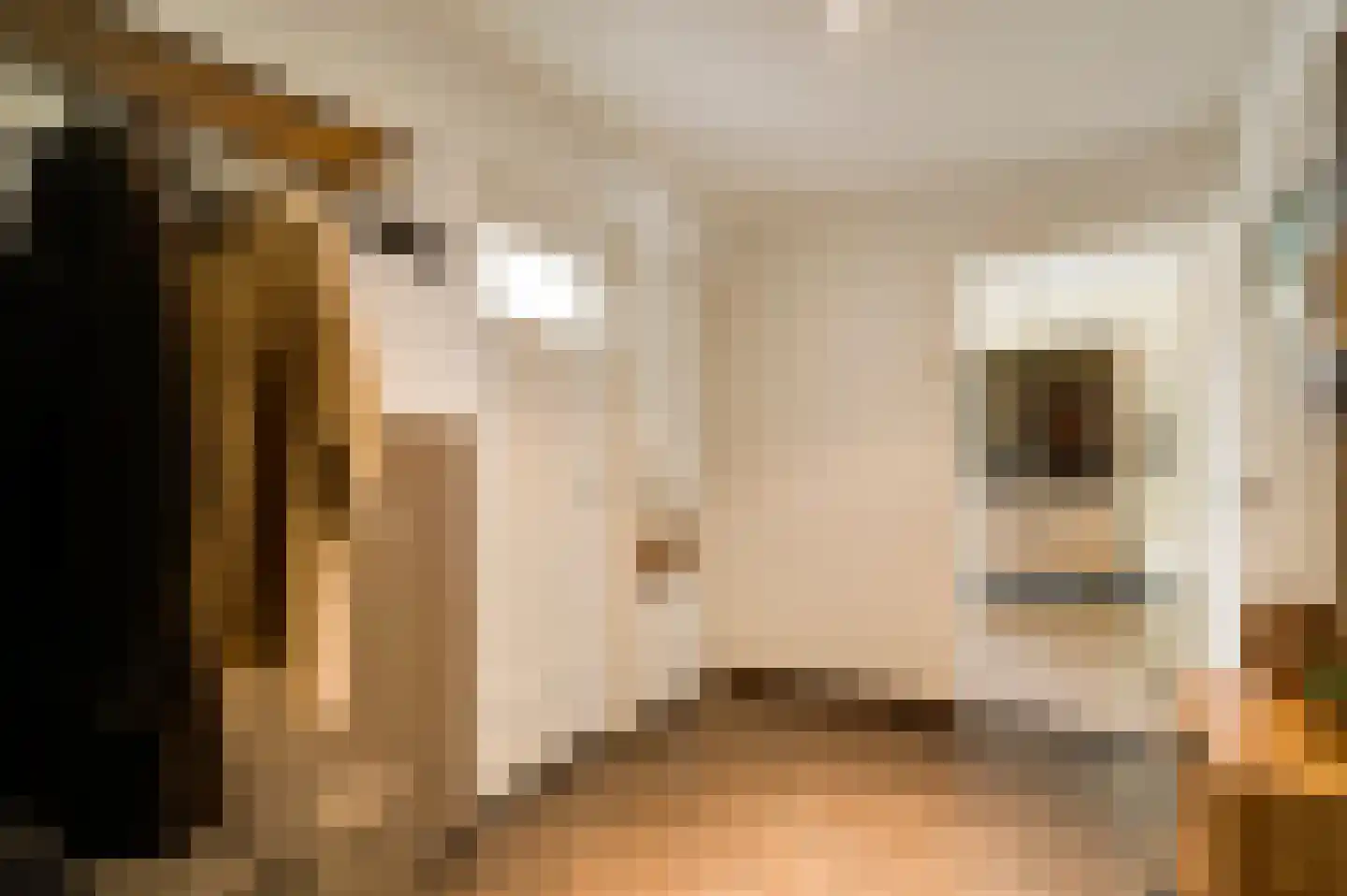 Staringstraat 33 Venlo thumbnail 6