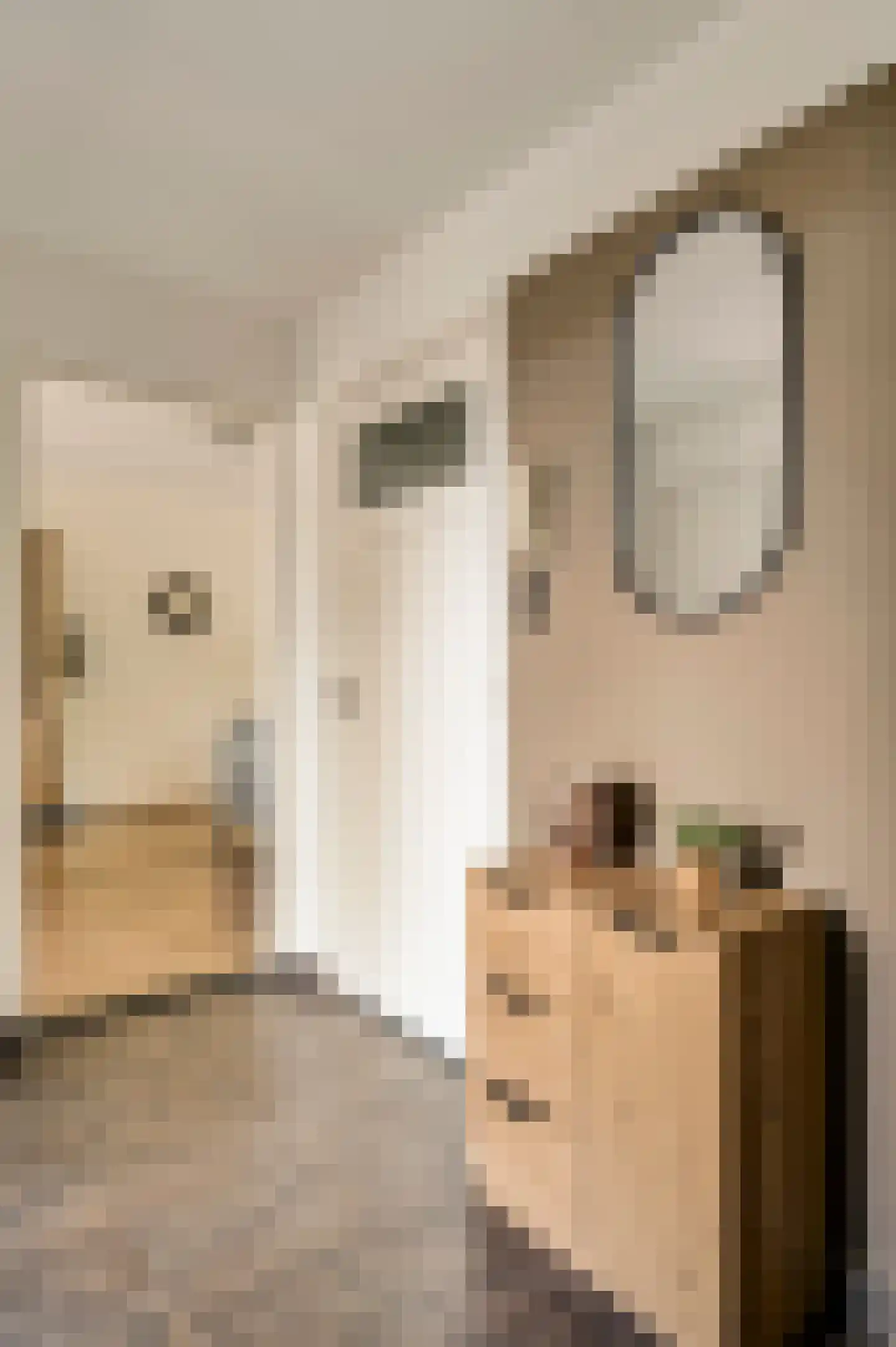 Staringstraat 33 Venlo thumbnail 9