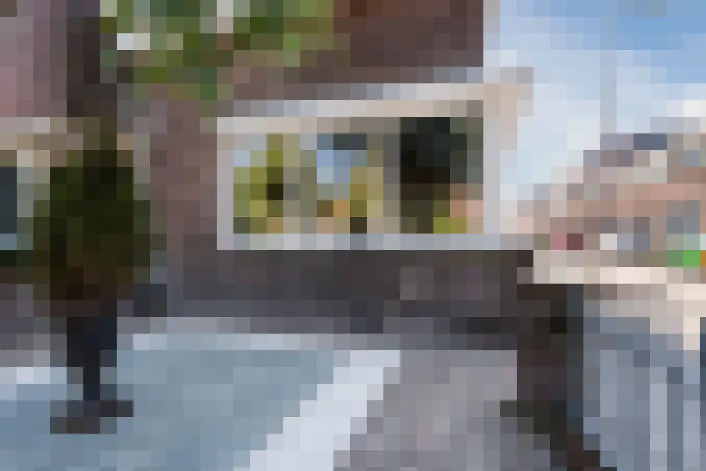 Staringstraat 34 Gouda thumbnail 4