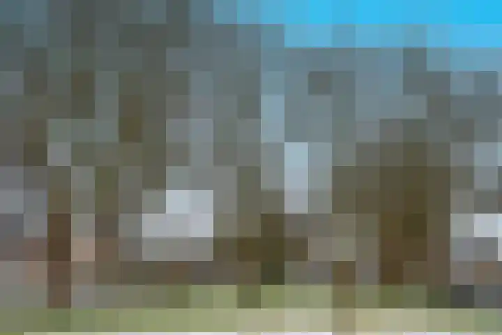 Staringstraat 34 Hengelo thumbnail 25