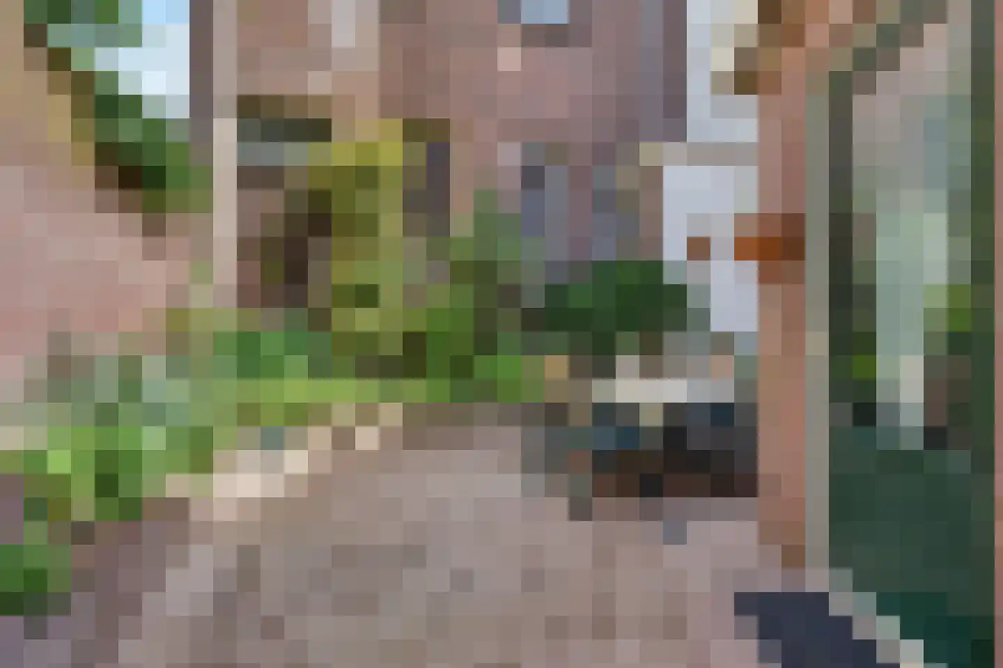 Staringstraat 38 Arnhem thumbnail 22