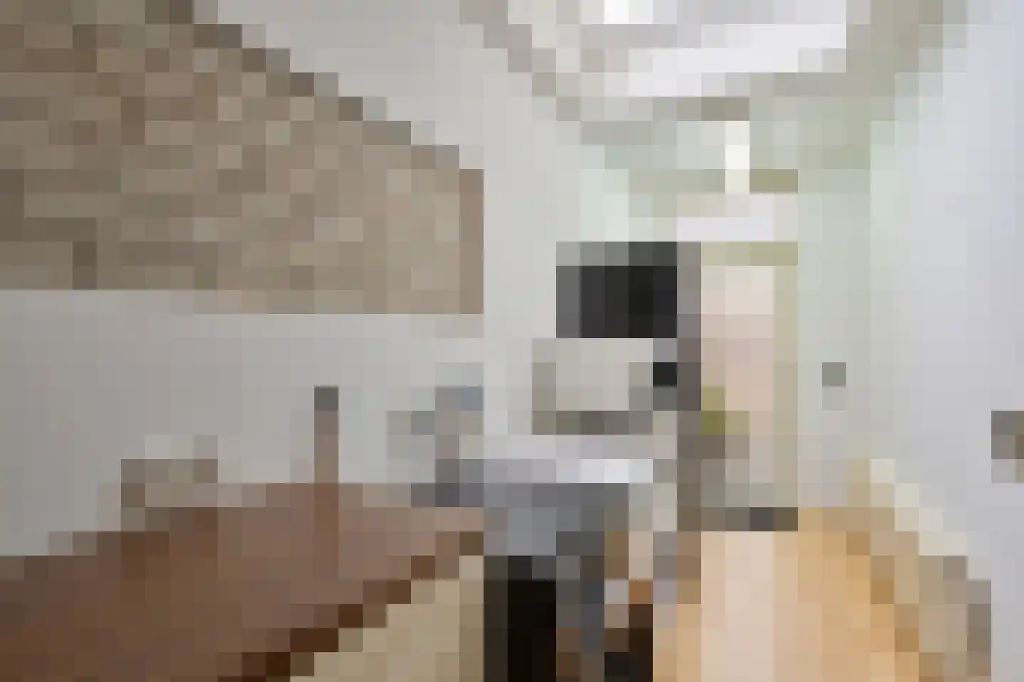 Staringstraat 394 Oss thumbnail 23