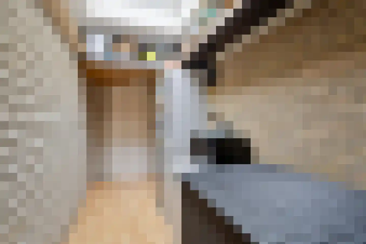 Staringstraat 394 Oss thumbnail 24