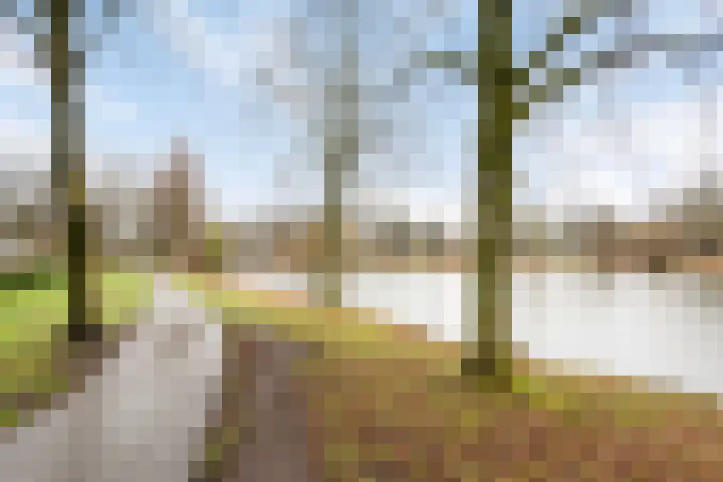 Staringstraat 394 Oss thumbnail 30