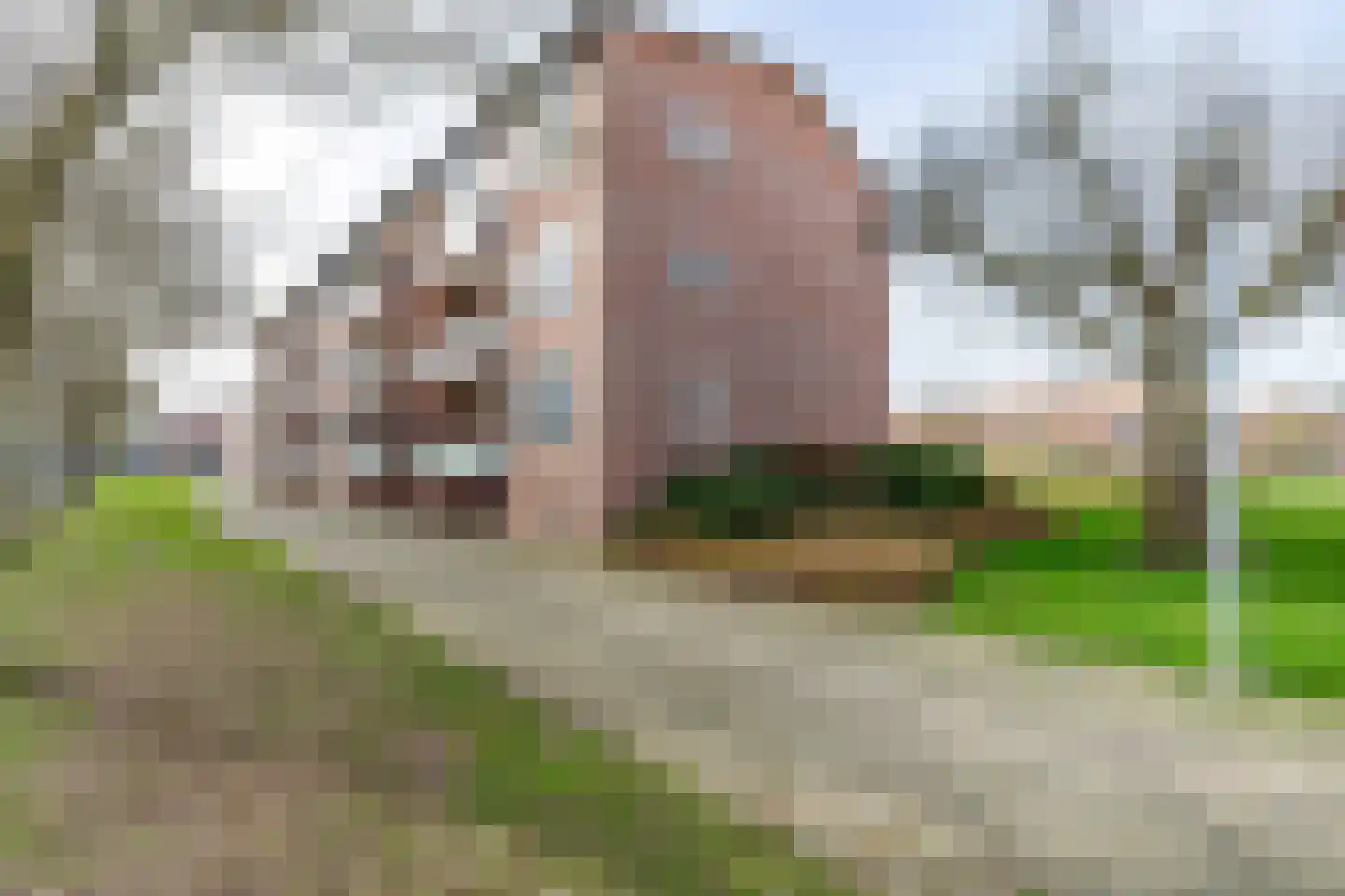 Staringstraat 4 Venlo thumbnail 27