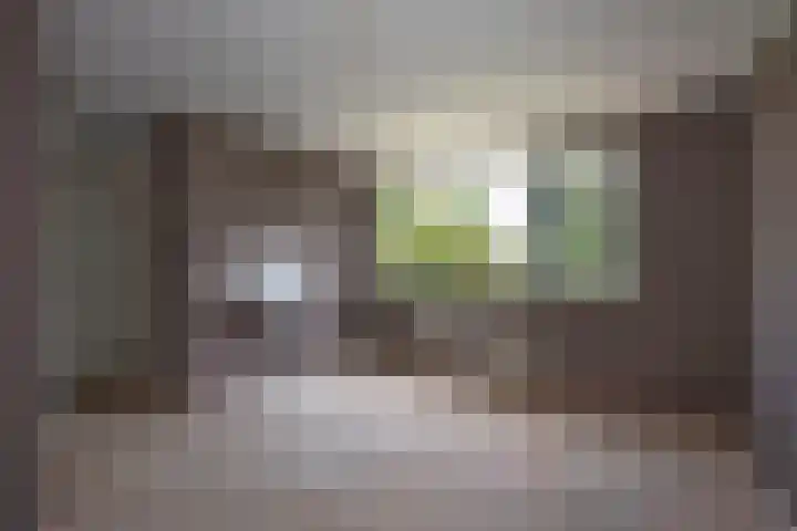Staringstraat 40 Hengelo thumbnail 11