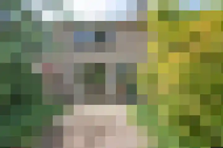 Staringstraat 40 Hengelo thumbnail 4