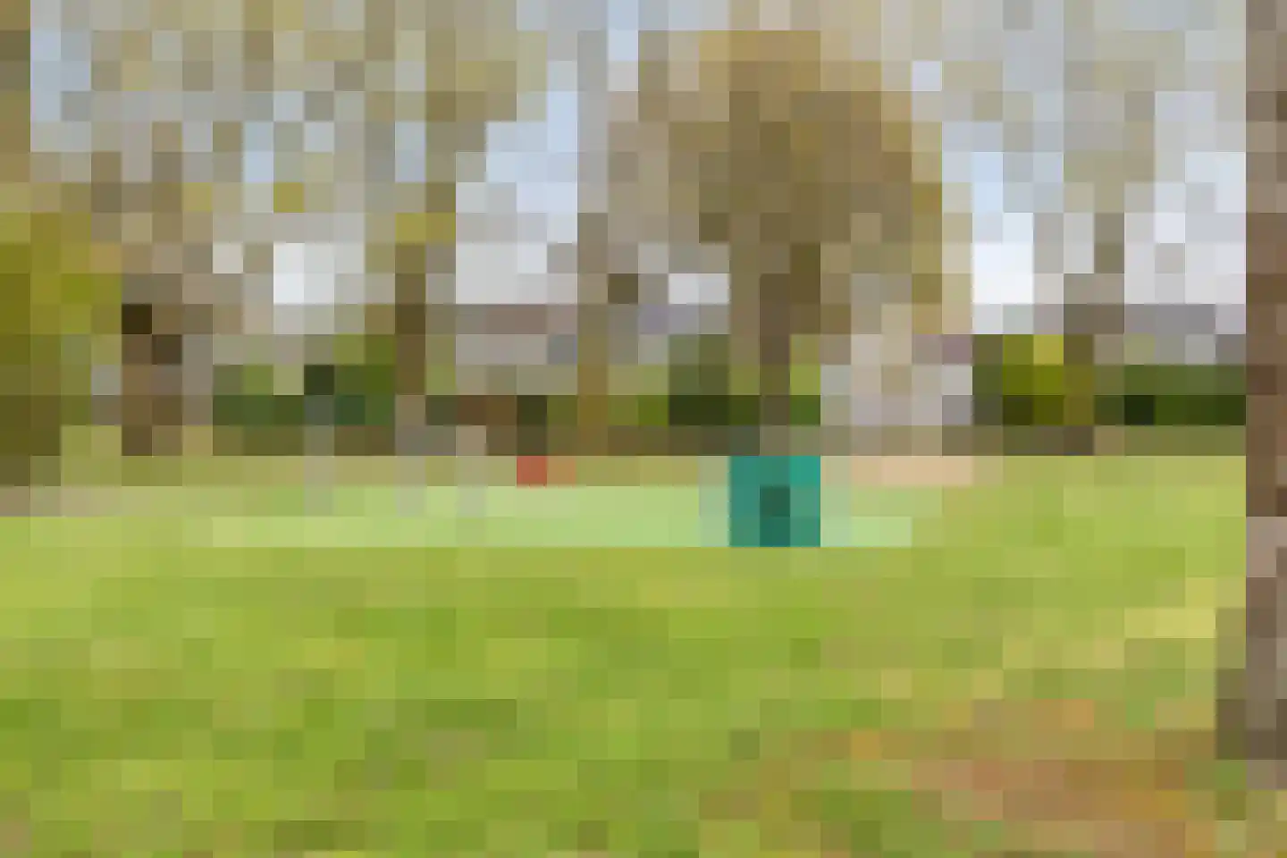 Staringstraat 406 Oss thumbnail 29