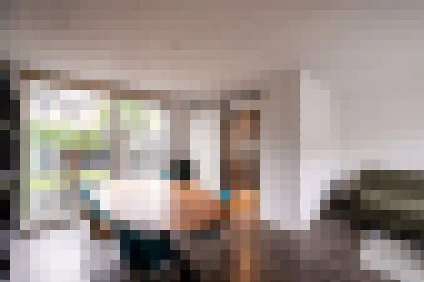 Staringstraat 41 Oss thumbnail 11