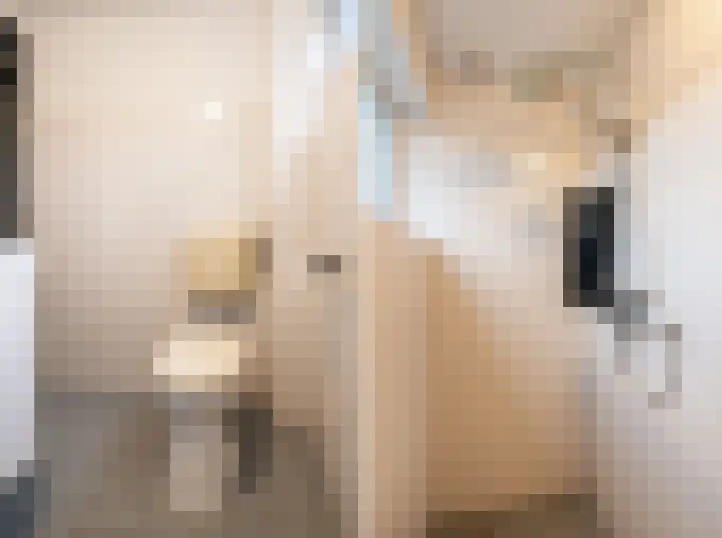 Staringstraat 41 Oss thumbnail 19