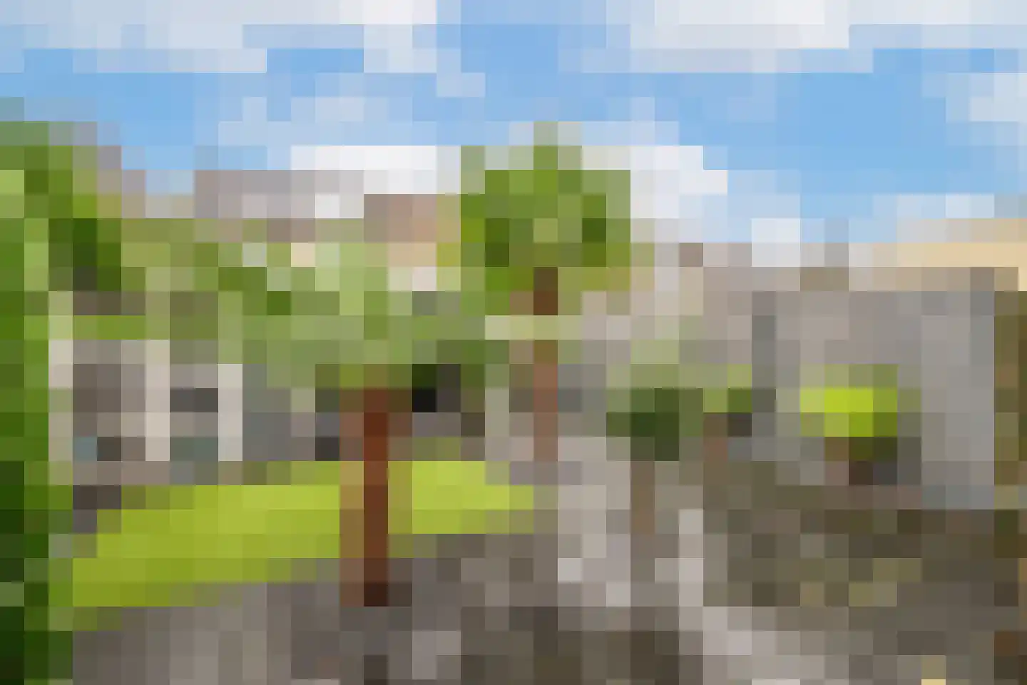 Staringstraat 41 Oss thumbnail 22