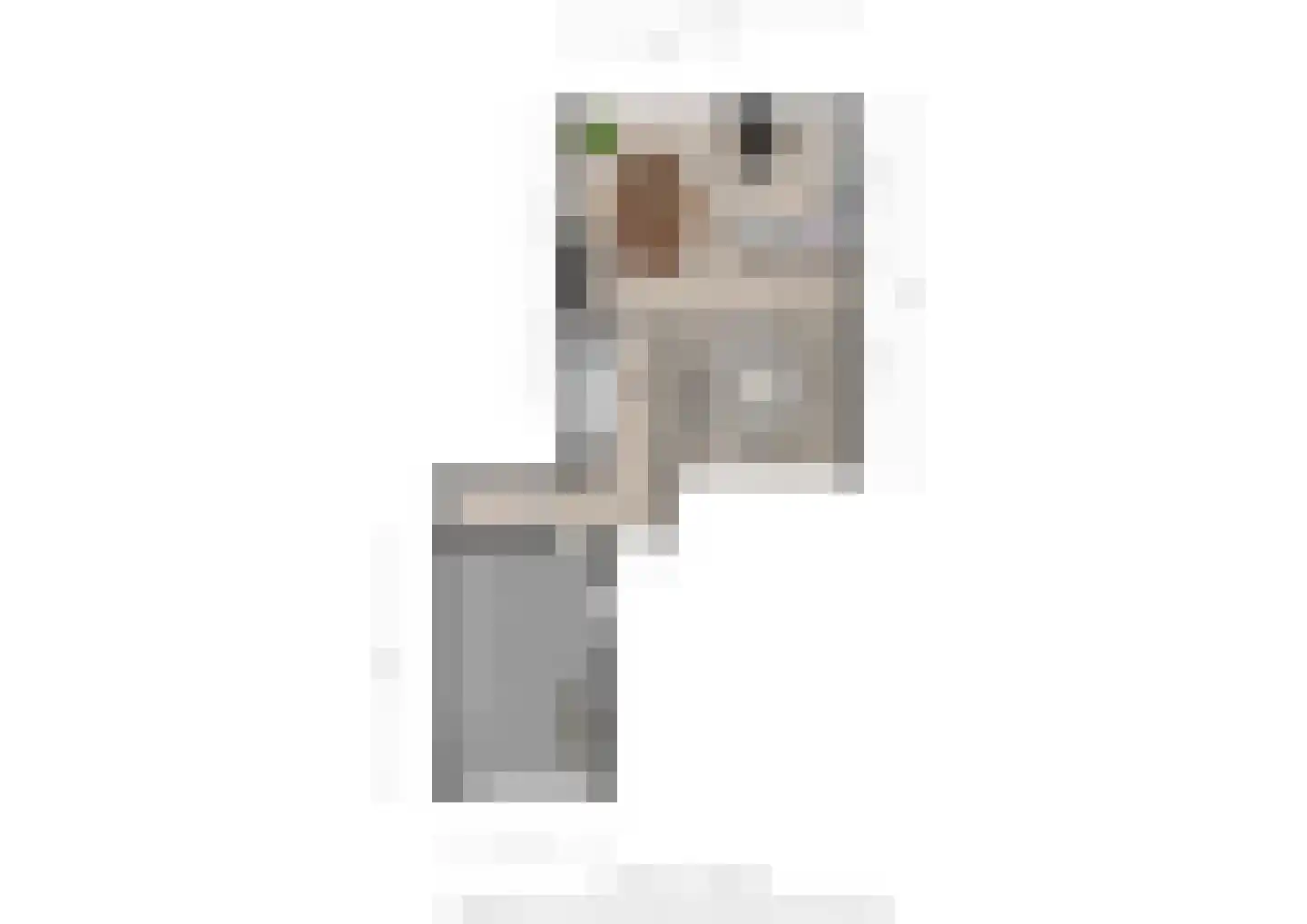 Staringstraat 41 Oss thumbnail 26