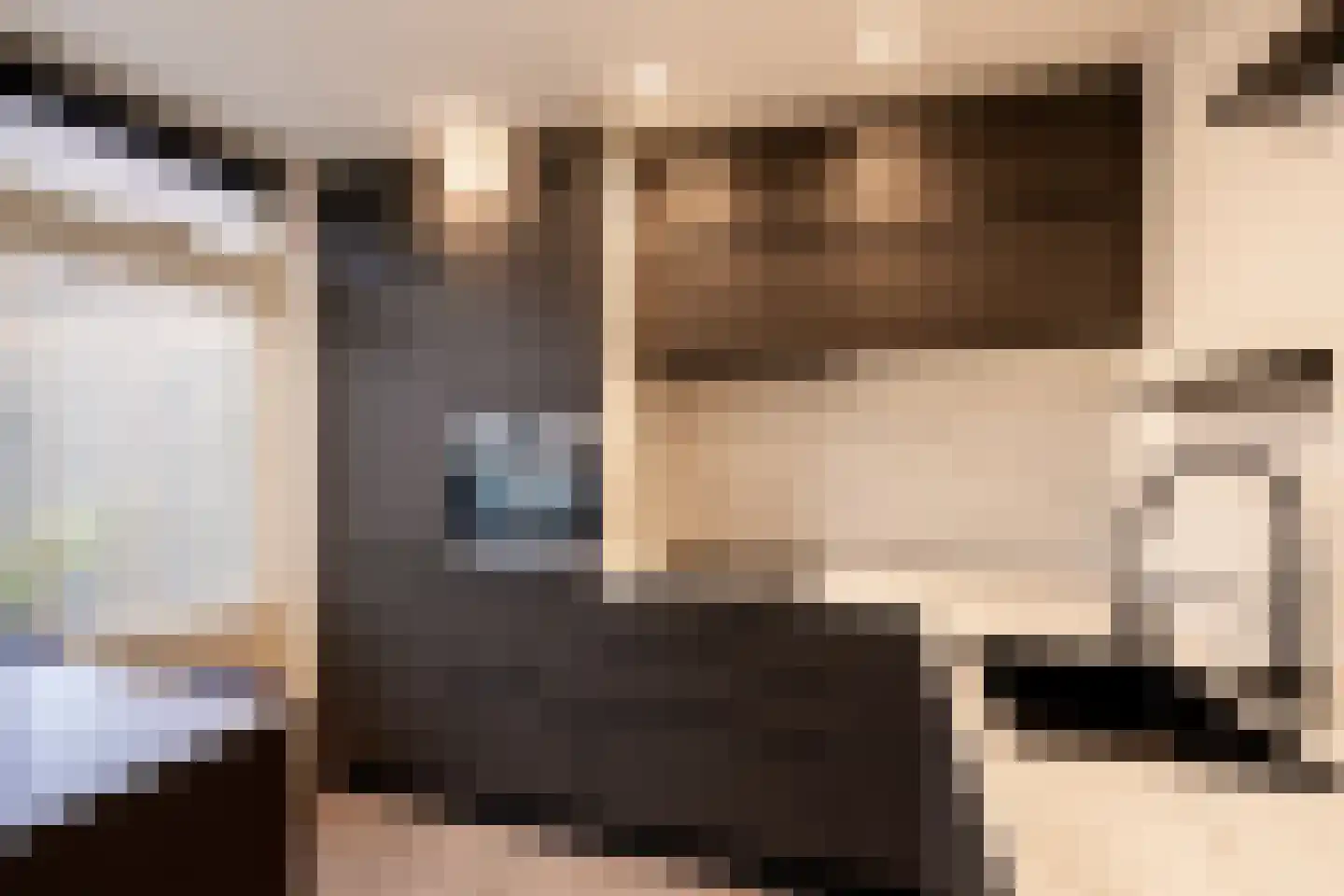 Staringstraat 41 Oss thumbnail 4